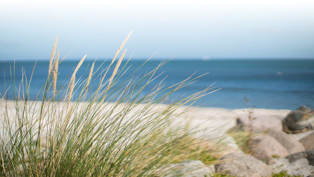 Den Skaldede Kok-Sæby Søbad - Sæby