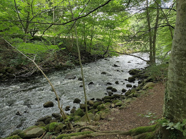 Comentarii opinii despre Strids Mølle