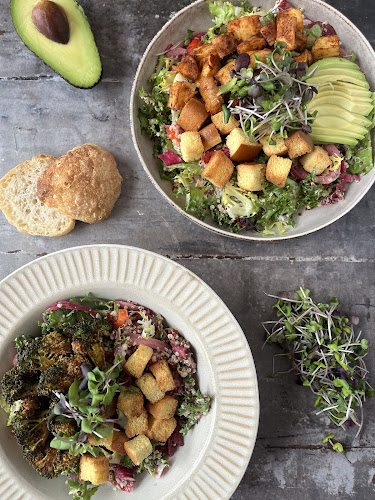 Comentarii opinii despre Plant Food