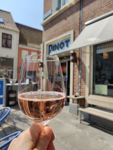 Comentarii opinii despre Pinot Butik & Bar