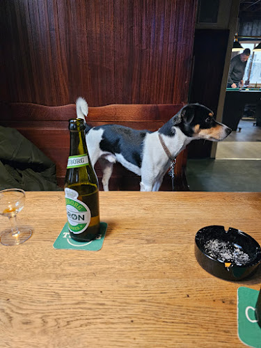 Comentarii opinii despre Værtshuset Viking - Pool og billiard Sønderborg