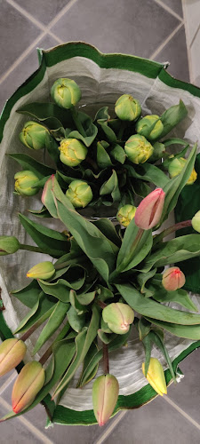 Opinii despre Pluk selv blomster în Ringsted - Gastronomi og hotelvirksomhed