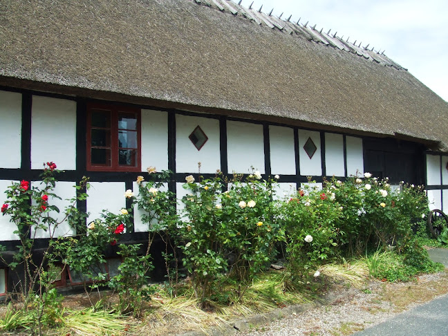 Comentarii opinii despre Drejø Kro- og Købmand v/Anne Birgitte Eluz