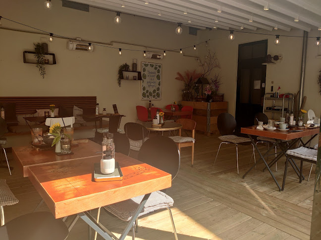 Comentarii opinii despre Spiseriget ApS