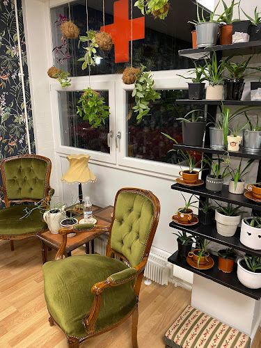 Opinii despre Cafe Snakbar - Røde Kors Cafe în Hadsten - Gastronomi og hotelvirksomhed