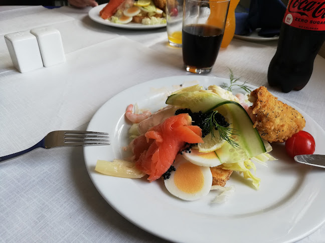 Comentarii opinii despre Sydvesten ApS