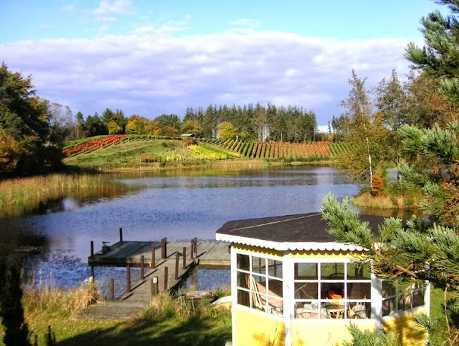 Comentarii opinii despre Skærsøgaard