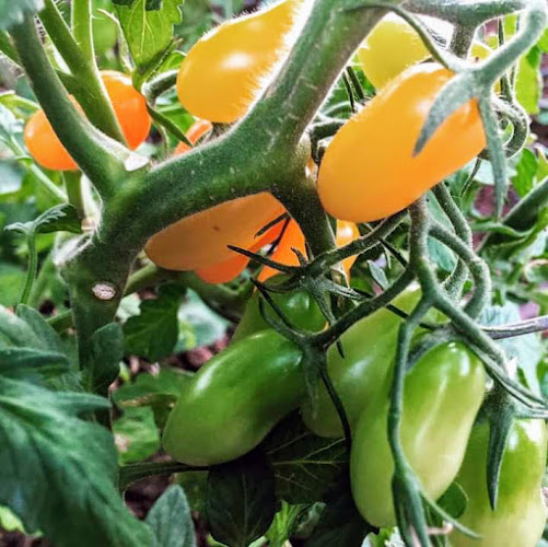 Trækærvej 17, 6760 Ribe