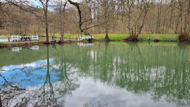 Comentarii opinii despre Restaurant Pøt Mølle - Frijsenborg Slotskro