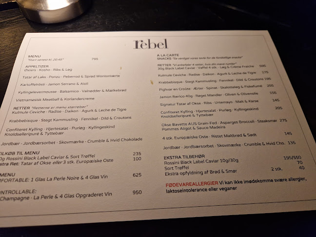 Restaurant Rebel - Gastronomi og hotelvirksomhed