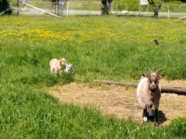 Opinii despre Jegum Café og Købmand în Oksbøl - Gastronomi og hotelvirksomhed