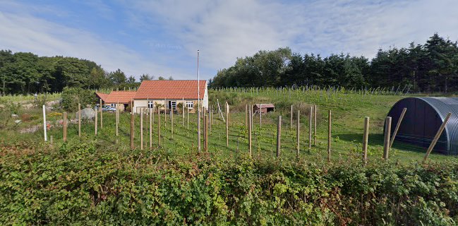Glyngøre øl og vinhus