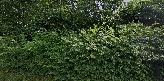 Opinii despre Marselis vine în Beder - Gastronomi og hotelvirksomhed