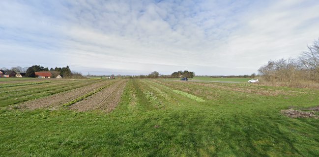 Grønnemosevej 20, 5690 Tommerup