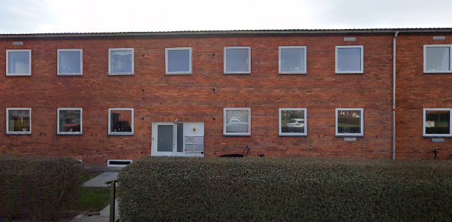 Turtle Wine Copenhagen