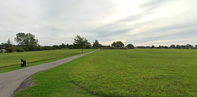 Carlsen Alette Og Johnny