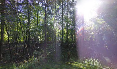 Loppe- Og Kræmmermarked I Vejle