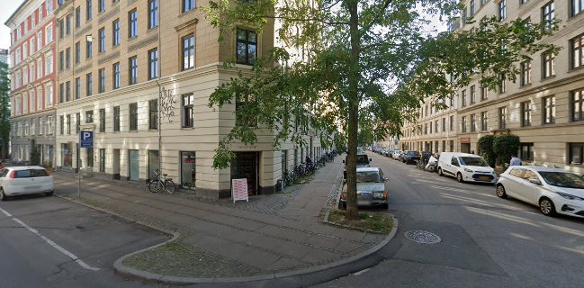 Comentarii opinii despre Niche Vine