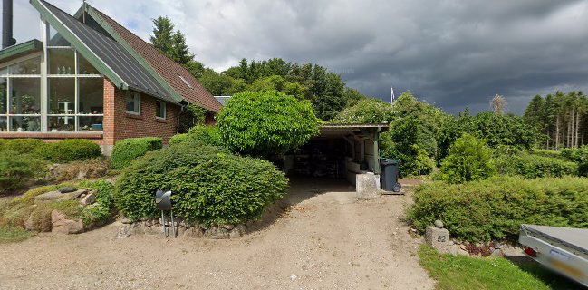 Opinii despre M Vin în Hammel - Gastronomi og hotelvirksomhed