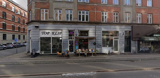 The Nomad & The Bean