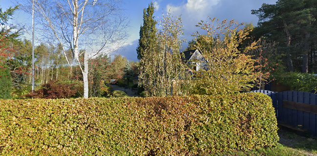 Farmers Market Sorø