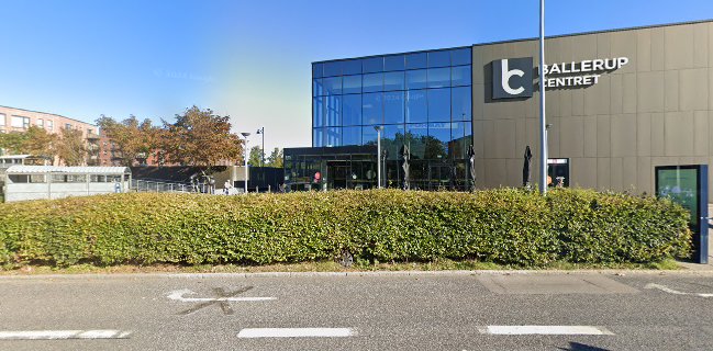 Cafe Signe v/Bayram Parlayan