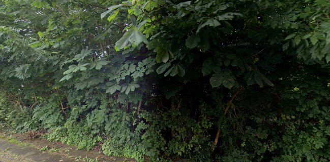 Opinii despre Skrydstrup Forsamlingsgård în Vojens - Gastronomi og hotelvirksomhed