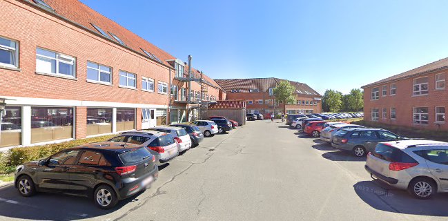 Dragon City - Randers