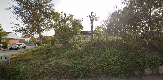 H. C. Andersen Vin og gaver