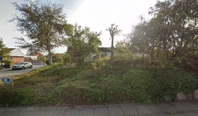 H. C. Andersen Vin og gaver