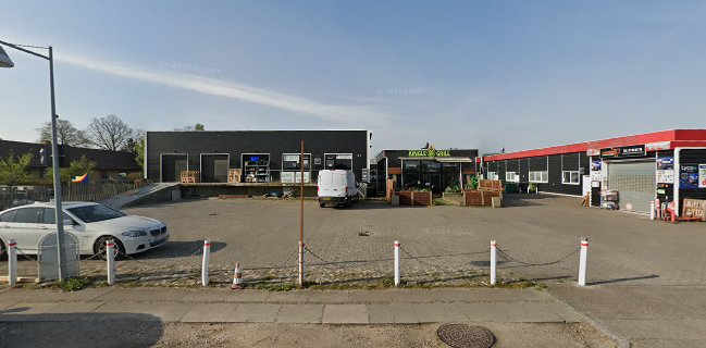 Jungle Grill Danmark
