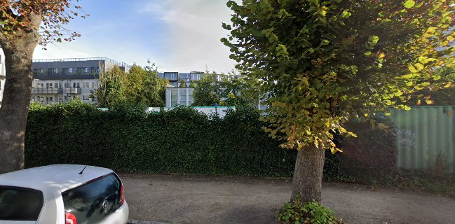 Rødder ved Pladefabrikken