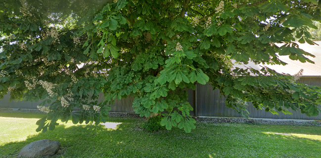 Barløseborg Golfklub