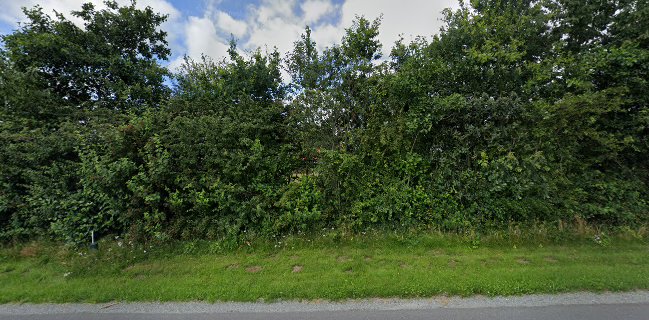 Opinii despre Egtved Bageri v/Martin Jepsen în Egtved - Gastronomi og hotelvirksomhed