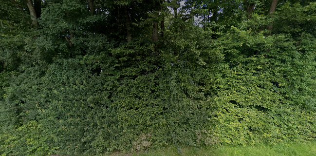 Comentarii opinii despre Valhal