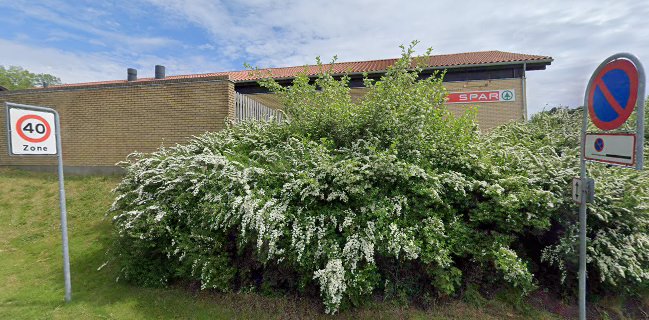 GuldKyllingen Roskildefjord - Birkerød