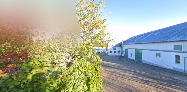 Big Bang Buffet - Nordborg