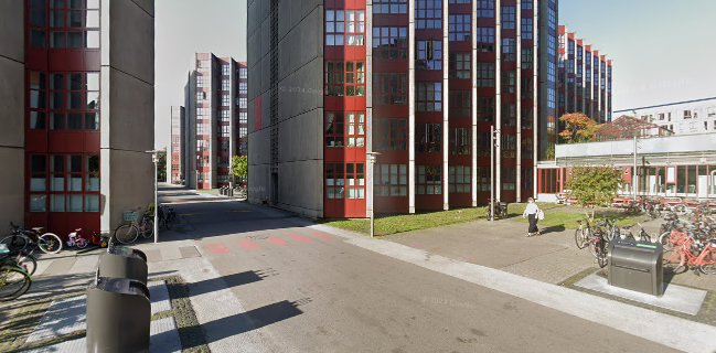 Comentarii opinii despre Down Wonder kollegie Bar