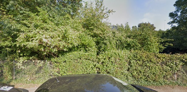 Opinii despre Foodoir în København - Gastronomi og hotelvirksomhed