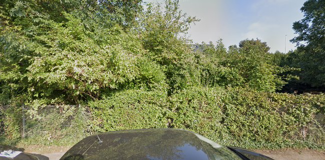 Comentarii opinii despre Foodoir