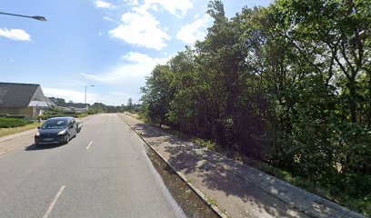 Birgit Plattenslager Granell