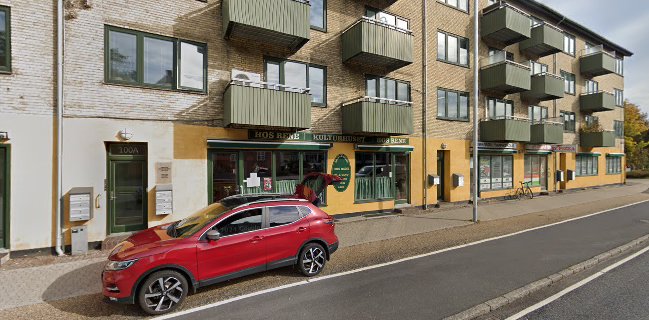 Comentarii opinii despre Kulturhuset Hos Rene